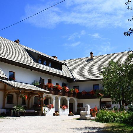 Apartments Susnik ボーヒニ エクステリア 写真