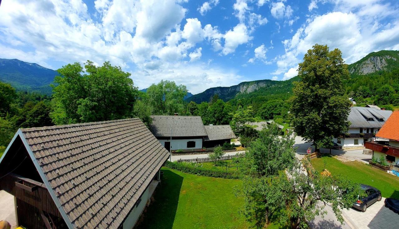Apartments Susnik ボーヒニ エクステリア 写真