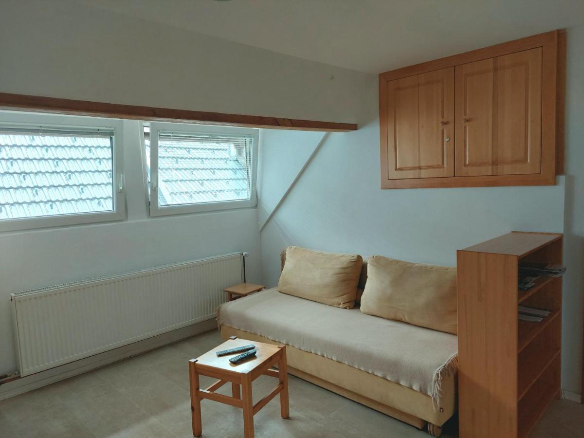 Apartments Susnik ボーヒニ エクステリア 写真