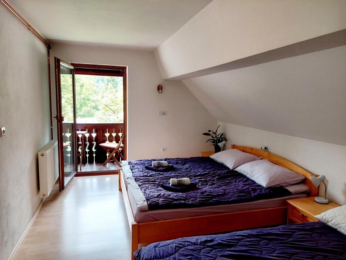 Apartments Susnik ボーヒニ エクステリア 写真