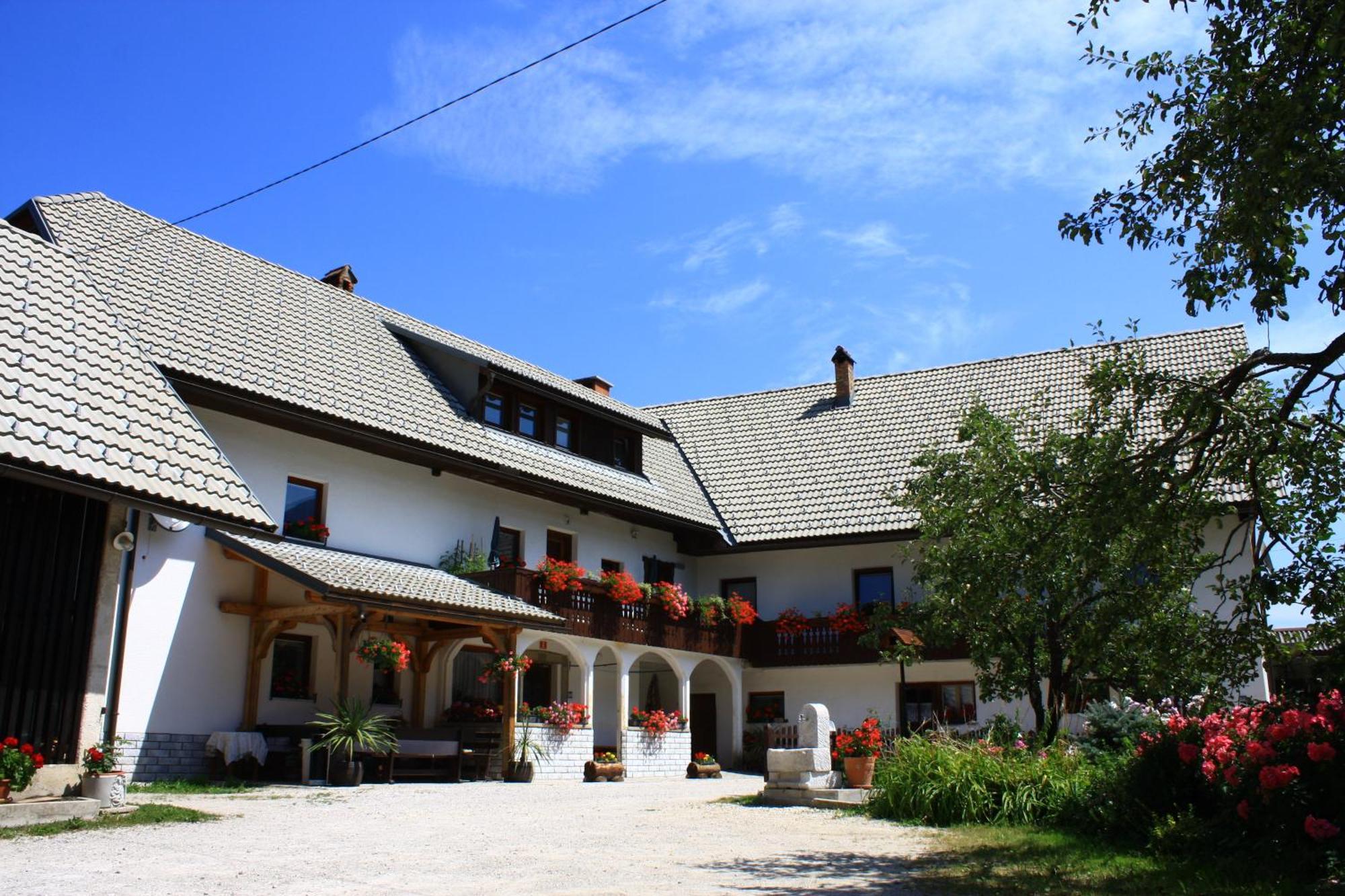 Apartments Susnik ボーヒニ エクステリア 写真