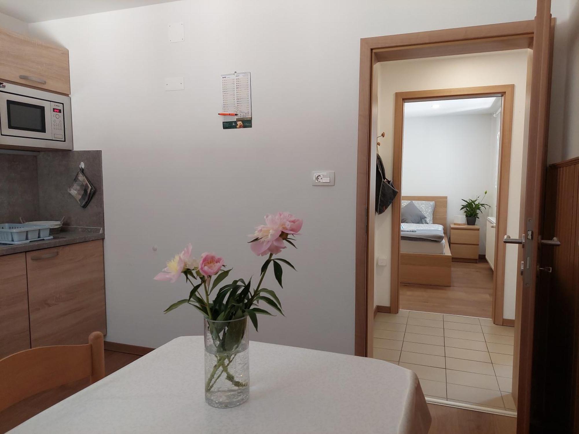 Apartments Susnik ボーヒニ 部屋 写真